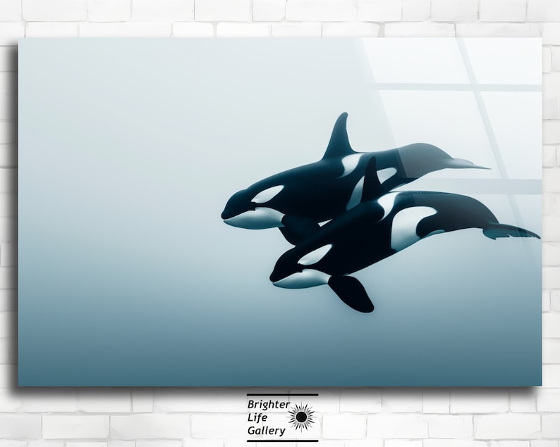 Puede incluir: Dos orcas blancas y negras nadan en un oc&eacute;ano azul. Las orcas nadan una al lado de la otra, con la orca m&aacute;s grande en primer plano y la m&aacute;s peque&ntilde;a en el fondo.