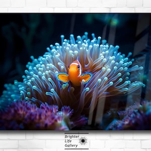 Clownfish Acrylic Glass Wall Art, Coral Reef Artwork, Salt Water Aquarium, Clown Fish, Luxury Decor, Living Room Art, Ocean Decor, Nautical