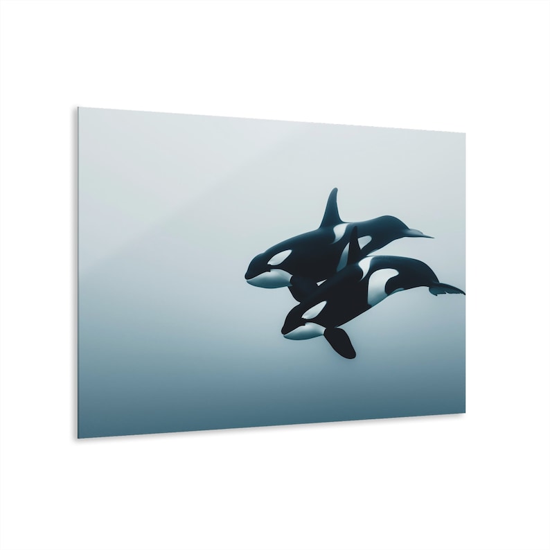 Impresión en vidrio acrílico de orca, decoración marina ártica, arte mural moderno imagen 6