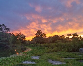 Può includere: Una vista panoramica di un lago con una lussureggiante vegetazione verde e alberi lungo la riva. Il cielo è un mix vibrante di tonalità arancioni, rosa e viola, creando uno splendido sfondo di tramonto.