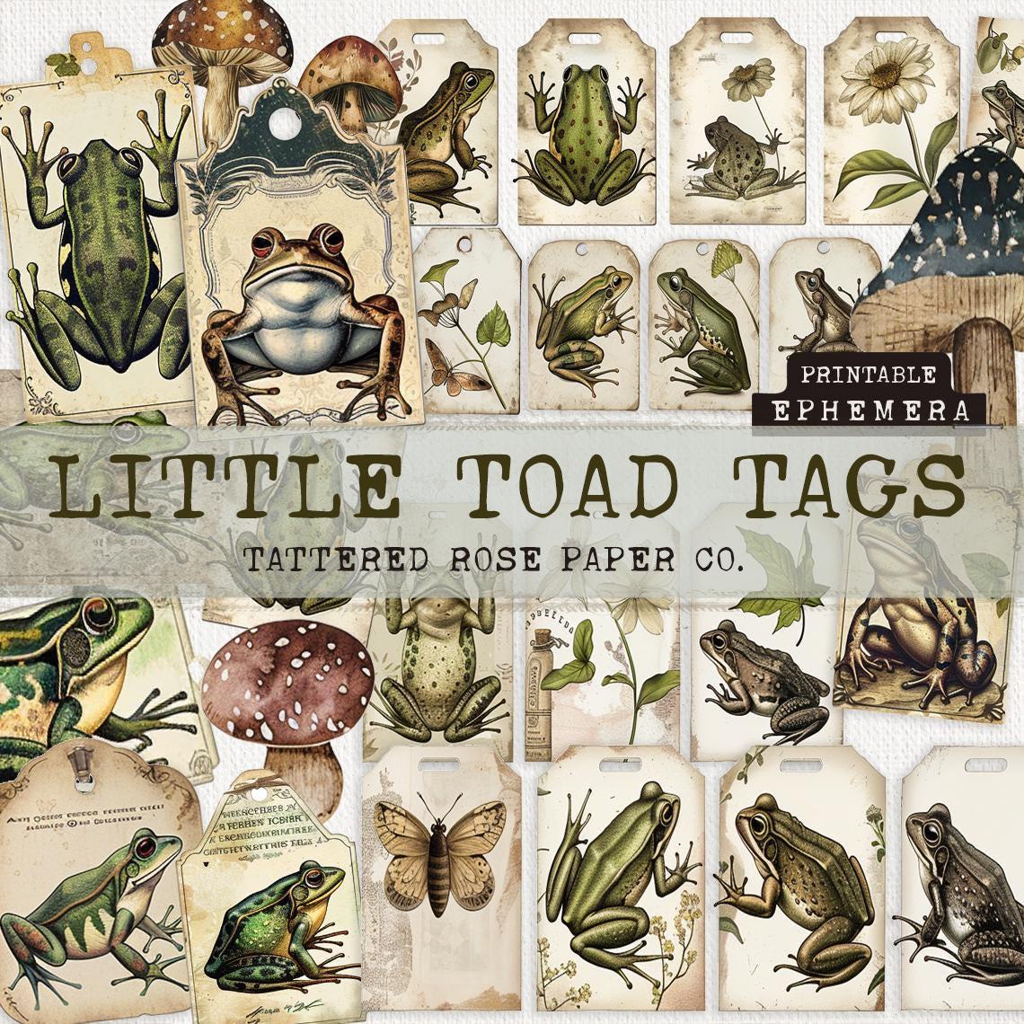 Little Toad Junk Journal Tags, Junk Journal Tags, Frog Junk Journaling Printable, Vintage Frog Junk Journal Tags, Junk Journal Frog Ephemera