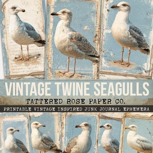 Twine Seagull Ephemera, Printable Vintage Beach Ephemera, Junk Journal Coastal, Ocean Junk Journal Tags, Beach Printable Journal