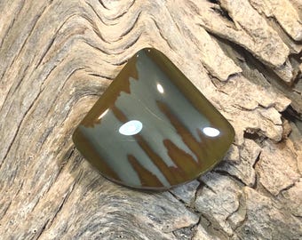 Owyhee Jasper cabochon