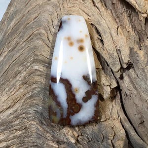 Cabochon met stippen jaspis