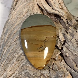 Wildhorse Picture Jasper Cabochon