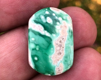 Lucin Variscite Cabochon