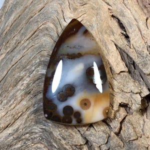 Cabochon met stippen jaspis
