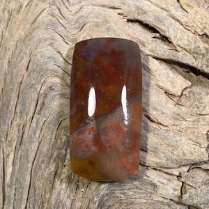 Fossil Dino Dung (koprolit) cabochon