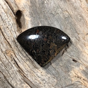 Dinosaur Bone (gem bone) cabochon