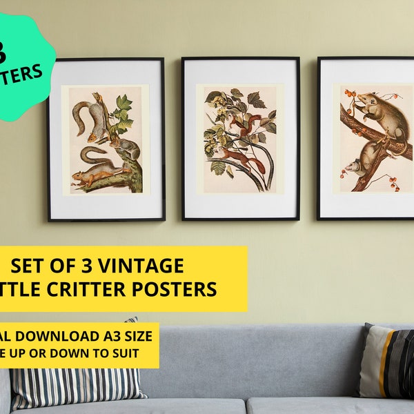 Set of 3 vintage little critter posters, A3 size, Scale up or down to suit your frame, Digital download, Print as many times as you like.