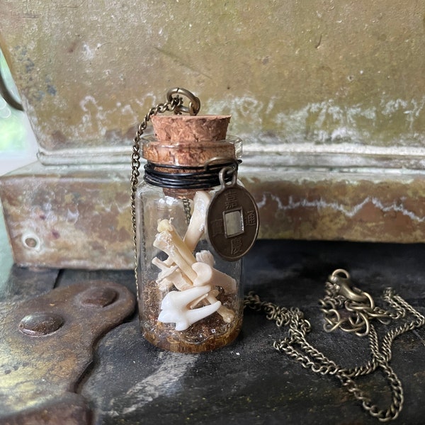 Large Bone Vial Necklace with Coin