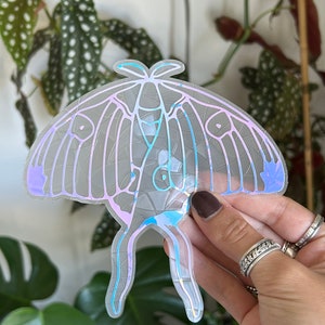 Luna moth suncatcher sticker