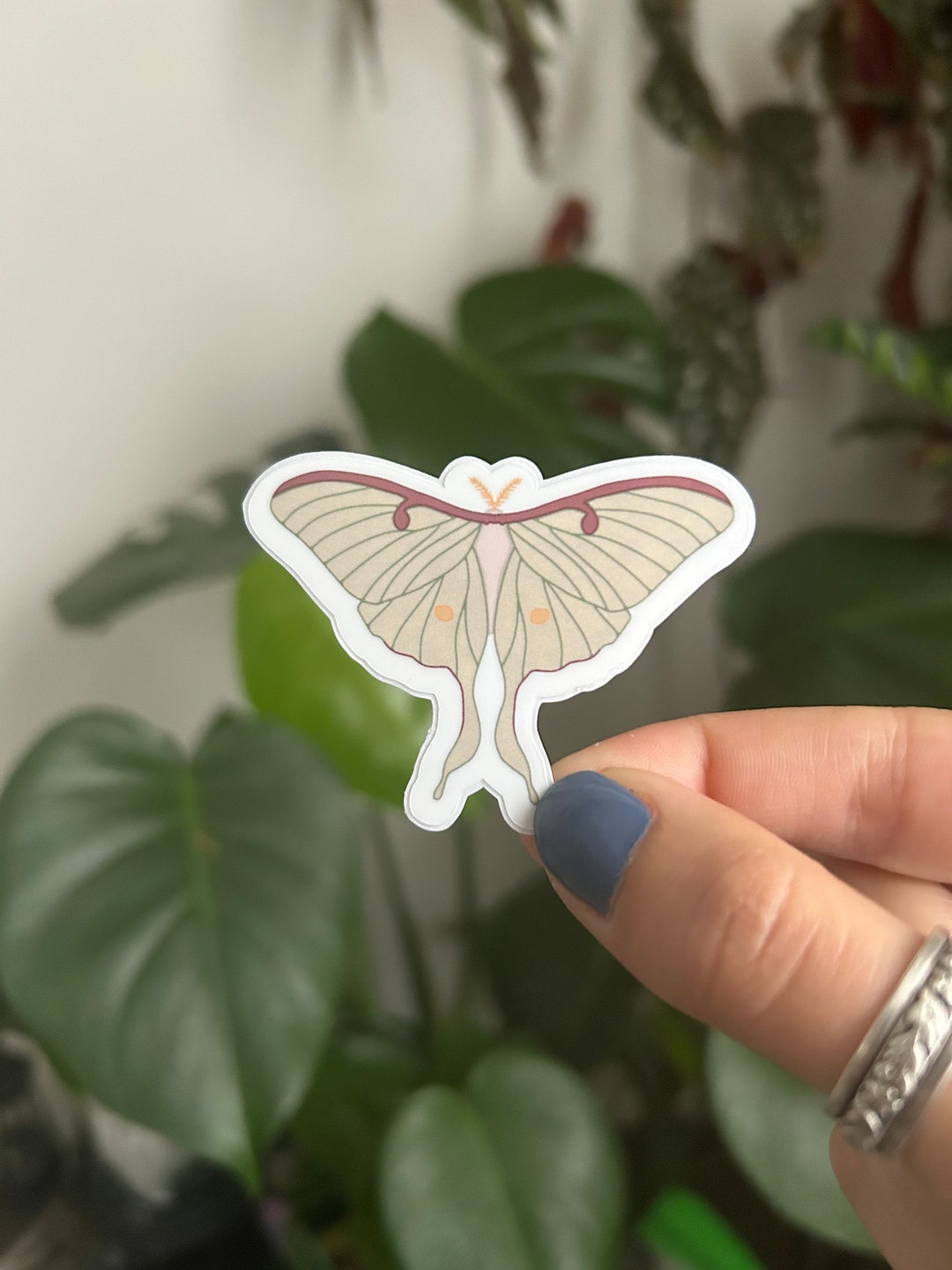 Luna Moth Sticker - Etsy