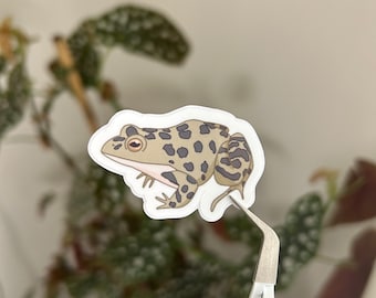 Sticker grenouille dessiné à la main : sticker brillant pour ordinateur portable