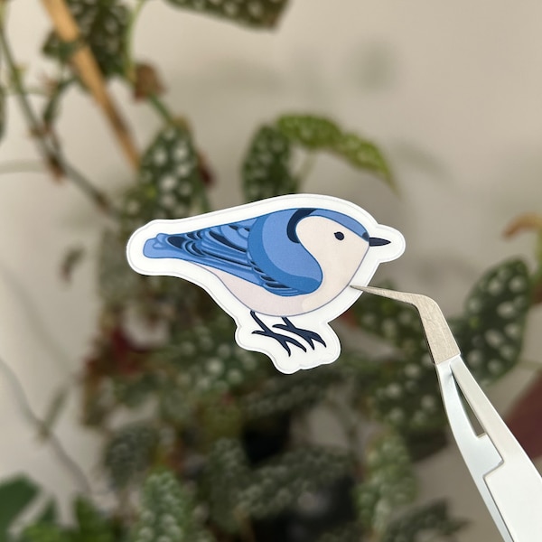 White-breasted Nuthatch sticker