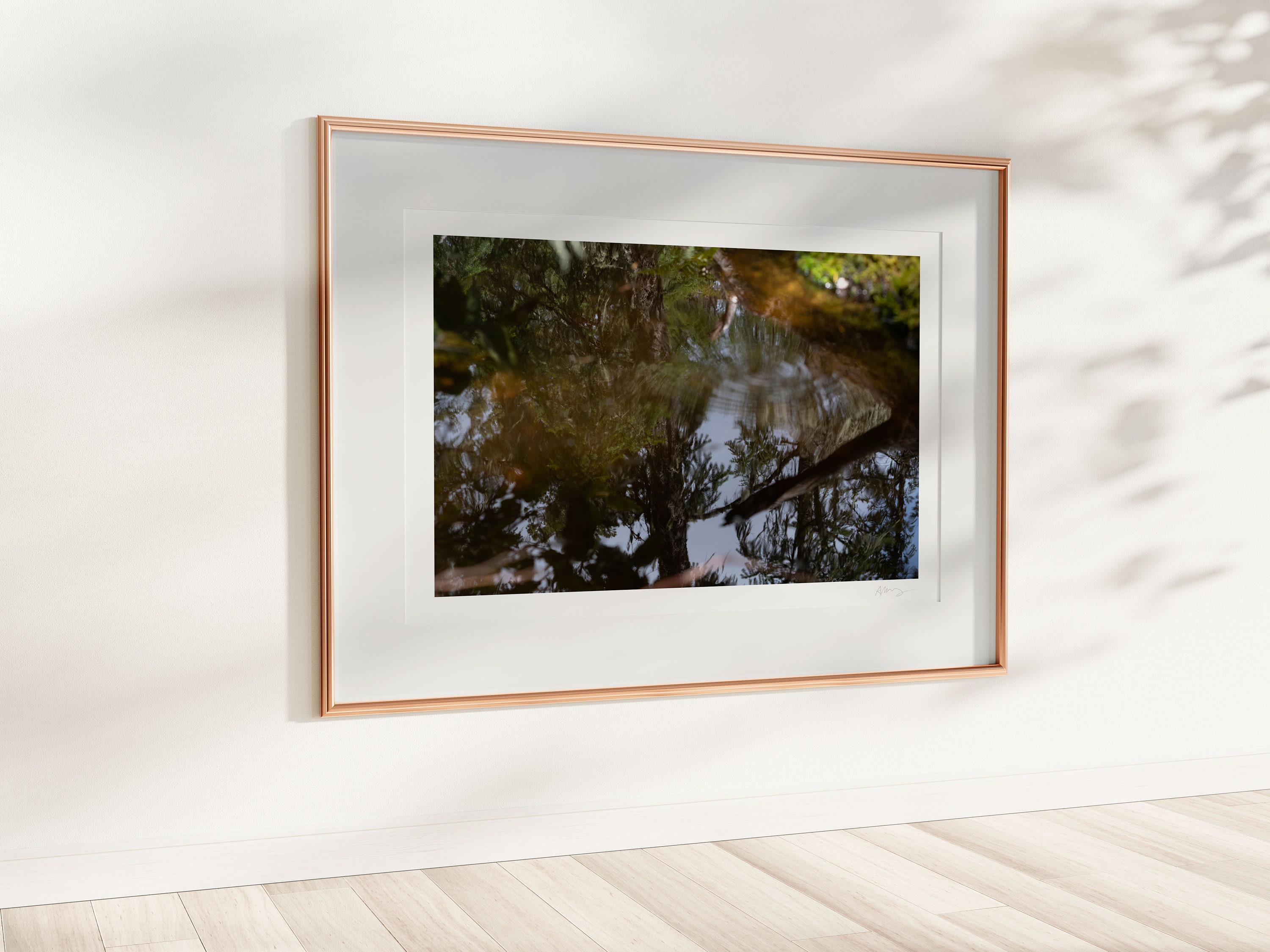 Treetop Reflections, Abstract Photography Print, Nature Wall Art