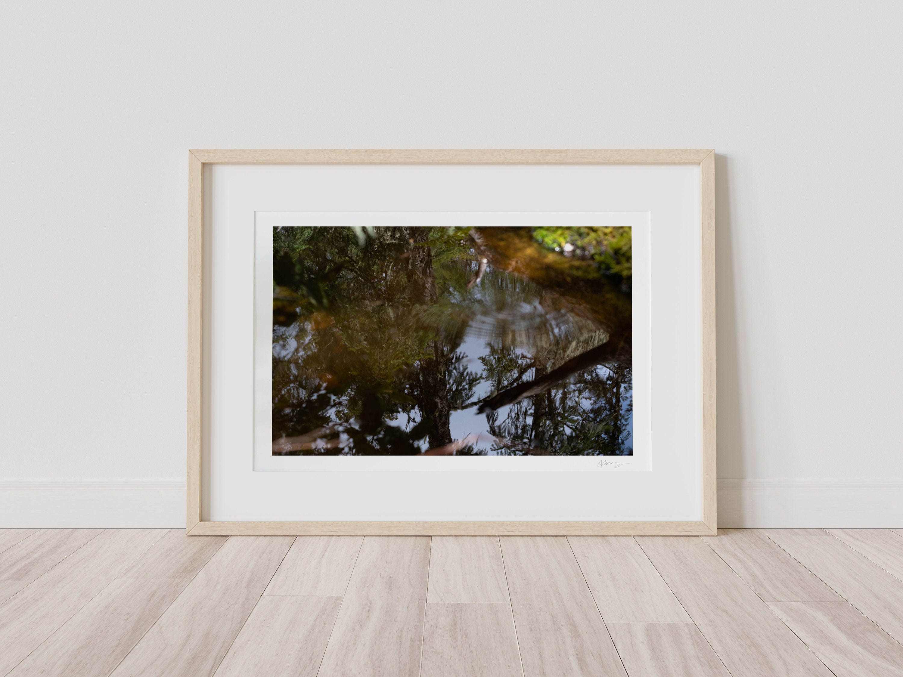 Treetop Reflections, Abstract Photography Print, Nature Wall Art