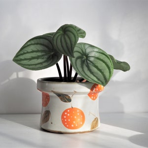 Hand Painted 4" Ceramic Plant Pot With Drainage / Cute Indoor Planter / Fruits Lemon Orange Lychee Decorative Bowl & Candle Holder