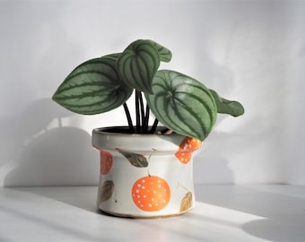 Cache-pot en céramique de 4 po. peint à la main avec drainage / Jolie jardinière d'intérieur / Bol décoratif et bougeoir fruits citron orange litchi