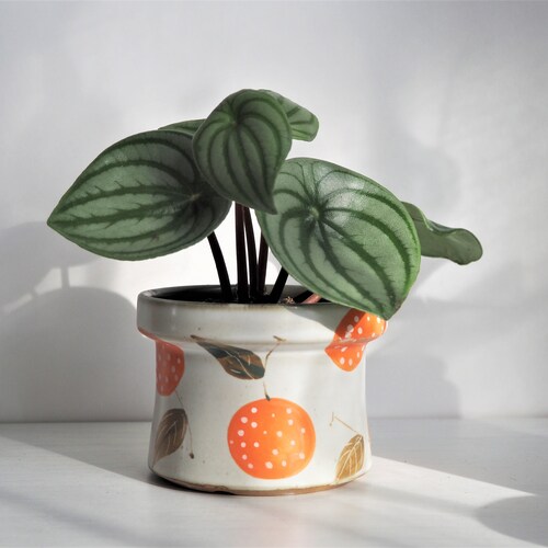 Hand Painted 4" Ceramic Plant Pot With Drainage / Cute Indoor Planter / Fruits Lemon Orange Lychee Decorative Bowl & Candle Holder