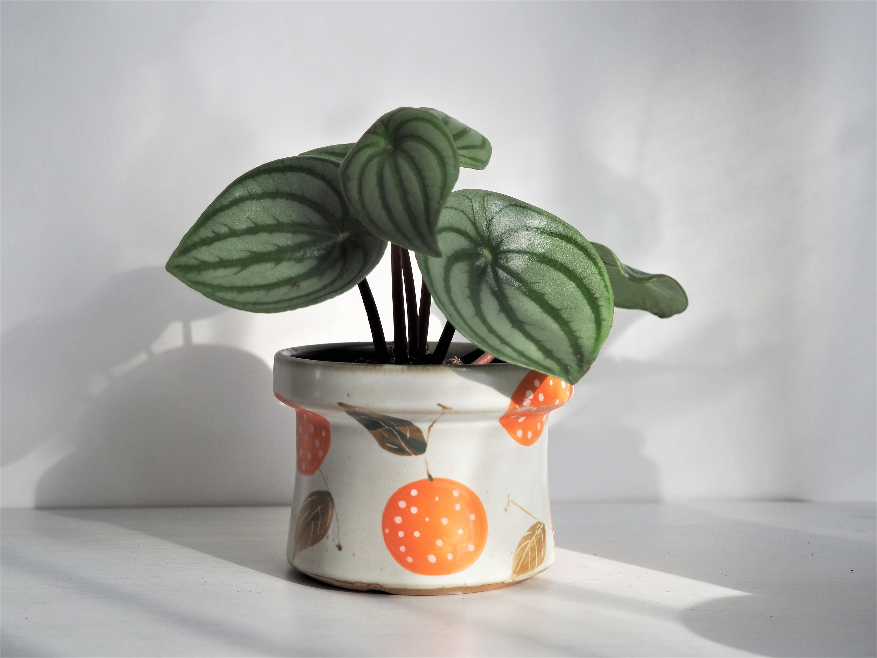 Hand Painted 4" Ceramic Plant Pot With Drainage / Cute Indoor Planter / Fruits Lemon Orange Lychee Decorative Bowl & Candle Holder