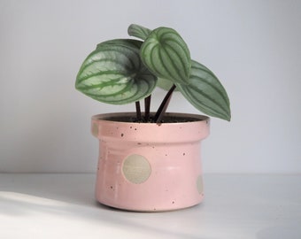 Handmade 4“ Polka Dots Plant Pot With Drainage Cute Succulent Pot Indoor Planter Small Ceramic Pot