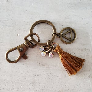 AA Keychain, AA Key Ring, AA Key Fob, Recovery Gifts, Sobriety Gifts, Alcoholics Anonymous Keychain