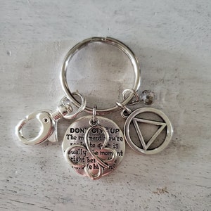 AA Keychain, AA Key Ring, AA Key Fob, Recovery Gifts, Sobriety Gifts, Alcoholics Anonymous Keychain