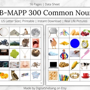 VB-MAPP 300 共通名詞、ABA 教材とフラッシュカード、名詞フラッシュカード、印刷可能なフラッシュカード、データシートとコレクション、aba リソース、bcba