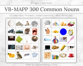 VB-MAPP 300 Common Nouns, ABA Materials & Flashcards, Noun Flashcards, Printable Flashcards, Data Sheet and Collection, aba resources, bcba