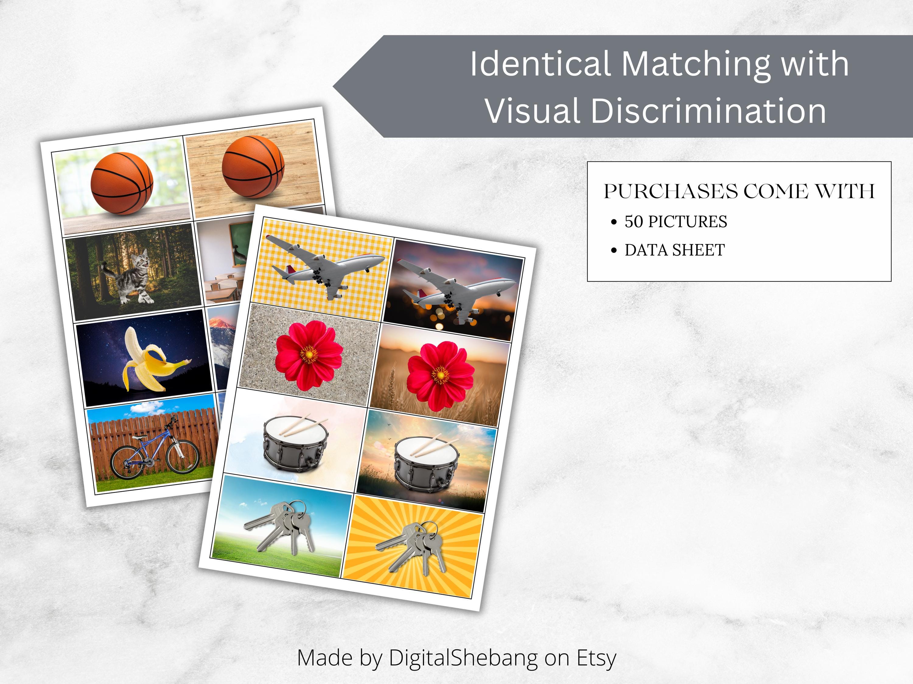 ABA Matching Cards, Visual Discrimination, Generalization Pictures ...