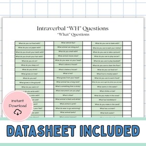 ABA What Questions Cards | Real Photo WH Flashcards | Printable ...