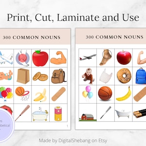 VBMAPP 300 Common Nouns Bundle 300 Common Noun Kit VB MAPP Stimuli Set Picture Cards Materials aba Resources aba Tacting Behavior Analyst image 4