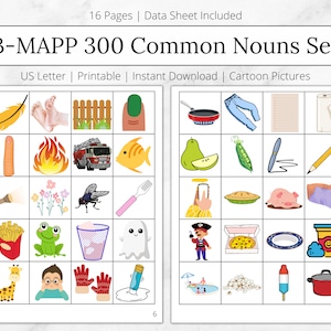 VBMAPP 300 Common Nouns Set 2, Cartoon Printable Flashcards, ABA Materials & Resources, Noun Flashcards, Data Sheet and Collection, bcba