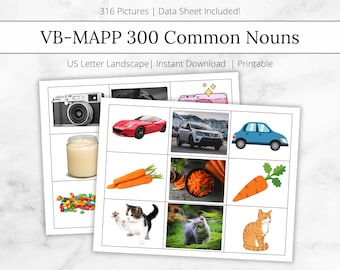 May include: A printable worksheet with images of common nouns, including a camera, car, candle, carrots, candy, and cats. The worksheet is titled "VB-MAPP 300 Common Nouns" and includes the text "316 Pictures | Data Sheet Included!" and "US Letter Landscape | Instant Download | Printable".