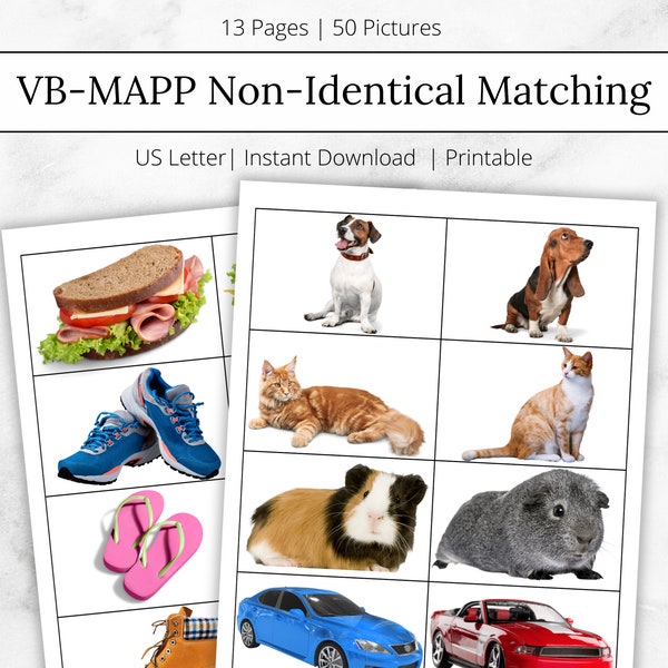 VB-MAPP Non-Identical Matching Flashcards, ABA Data Sheet (Printable)