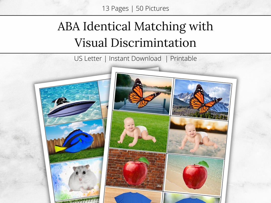 ABA Matching Cards, Visual Discrimination, Generalization Pictures ...