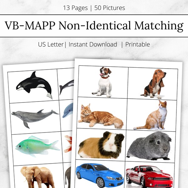 VB-MAPP Non-Identical Matching, ABA Materials & Flashcards, Printable Flashcards, Data Sheet and Data Collection, aba resources, rbt, bcba