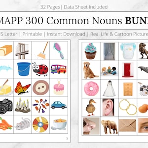 VBMAPP 300 Common Nouns Bundle 300 Common Noun Kit VB MAPP Stimuli Set Picture Cards Materials aba Resources aba Tacting Behavior Analyst image 1