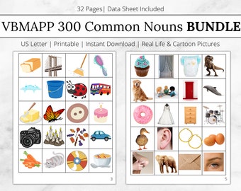 VBMAPP 300 Common Nouns Bundle 300 Common Noun Kit VB MAPP Stimuli Set Picture Cards Materials aba Resources aba Tacting Behavior Analyst