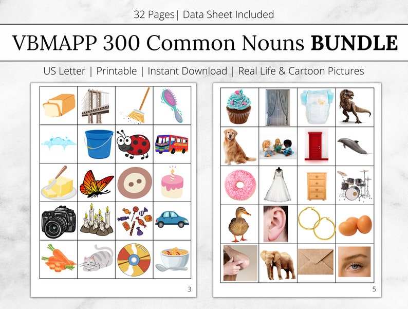 VBMAPP 300 Common Nouns Bundle 300 Common Noun Kit VB MAPP Stimuli Set Picture Cards Materials aba Resources aba Tacting Behavior Analyst image 1