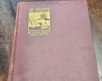 The Childhood of Animals by P. Chalmers Mitchell 1912