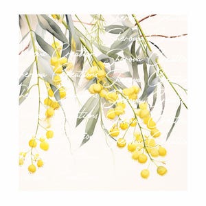 Paquete de 10 imágenes prediseñadas de Wattle, arte de pared, acuarela imprimible, JPG de alta calidad, manualidades de papel, diario basura, invitaciones, boda, tarjeta, PNG