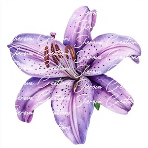 10 bundle di clipart di fiori, arte murale, acquerello stampabile, JPG di alta qualità, artigianato di carta, diario di spazzatura, invito, matrimonio, biglietto, PNG