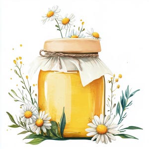 Lot de 10 cliparts pot de miel cottagecore aquarelle de haute qualité, image de fleur imprimable journal indésirable, téléchargement immédiat graphique Daisy JPG PNG