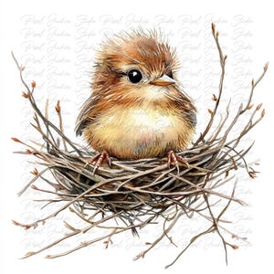 Lot de 10 cliparts oiseau duveteux Cottagecore haute qualité aquarelle, Image animal imprimable Journal indésirable, téléchargement immédiat graphique JPG PNG