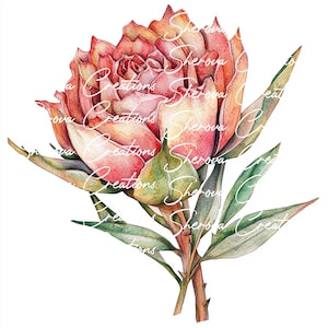 10 bundle di clipart di fiori, arte murale, acquerello stampabile, JPG di alta qualità, artigianato di carta, diario di spazzatura, invito, matrimonio, biglietto, PNG