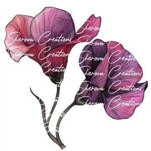 10 bundle di clipart di fiori, arte murale, acquerello stampabile, JPG di alta qualità, artigianato di carta, diario di spazzatura, invito, matrimonio, biglietto, PNG