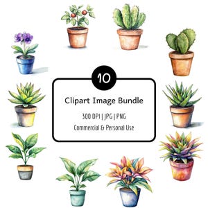 Pacchetto di 10 clipart di piante in vaso ad acquerello, PNG e JPG, 300 DPI, download digitale