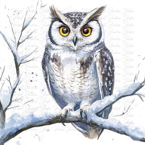 Paquete de 10 imágenes prediseñadas de búhos invernales de acuarela de alta calidad, estilo cottagecore, imágenes imprimibles para diario basura, descarga instantánea de gráficos de aves en formato JPG y PNG.
